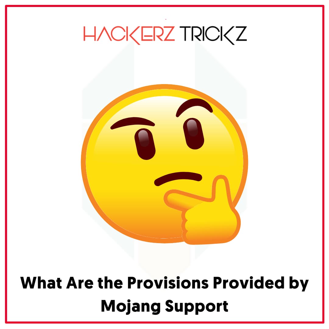 What Are the Provisions Provided by Mojang Support