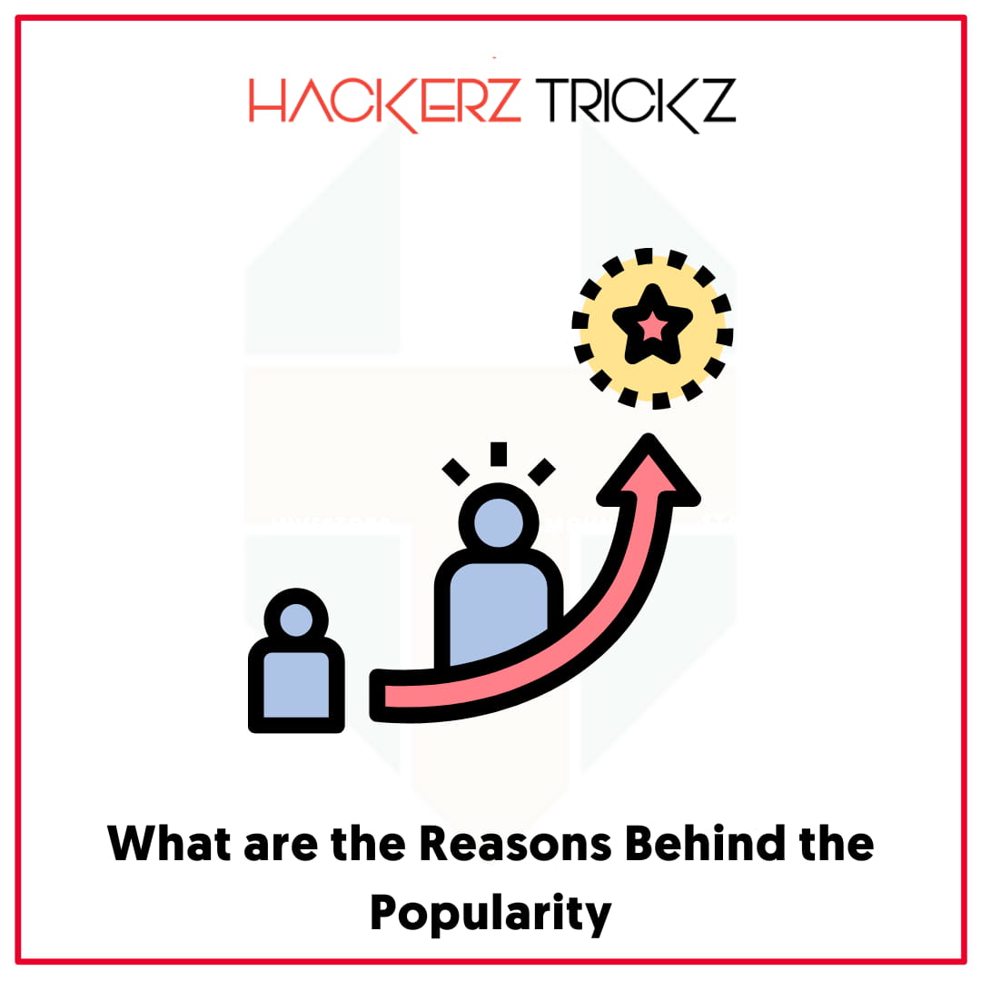 What are the Reasons Behind the Popularity