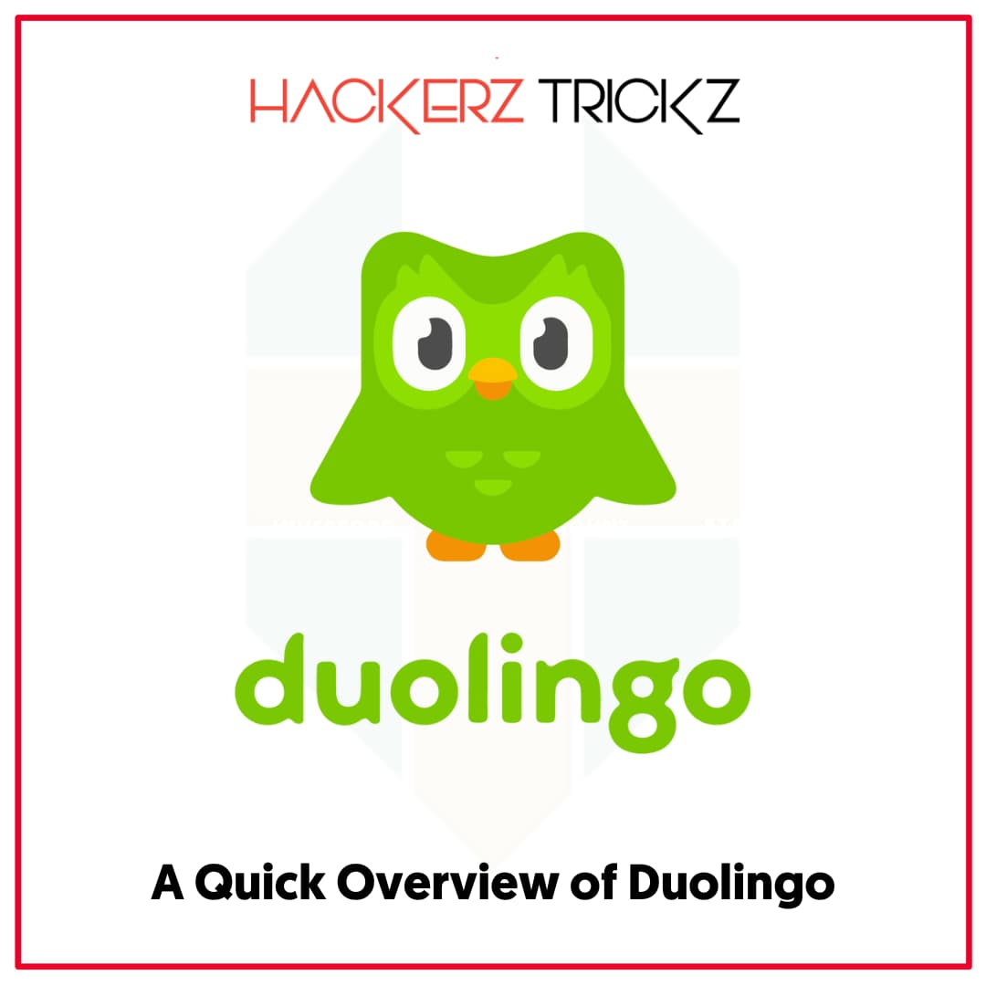 A Quick Overview of Duolingo
