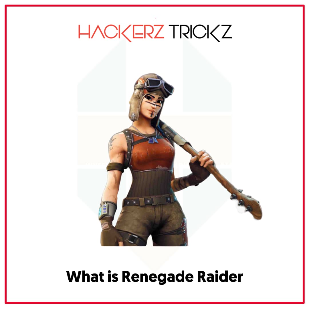 What is Renegade Raider