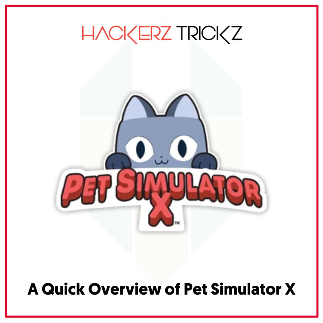 A Quick Overview of Pet Simulator X