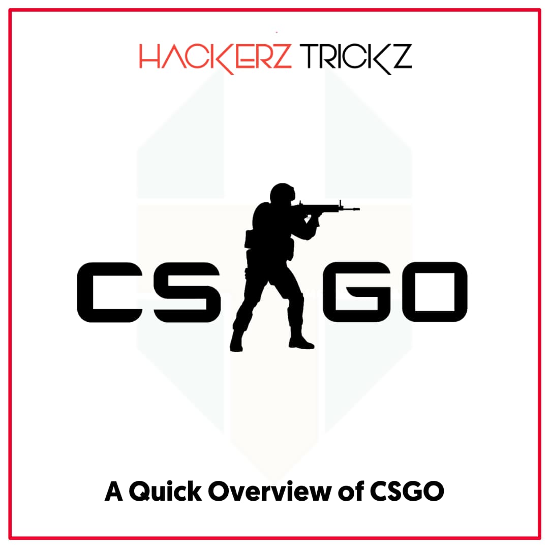 A Quick Overview of CSGO