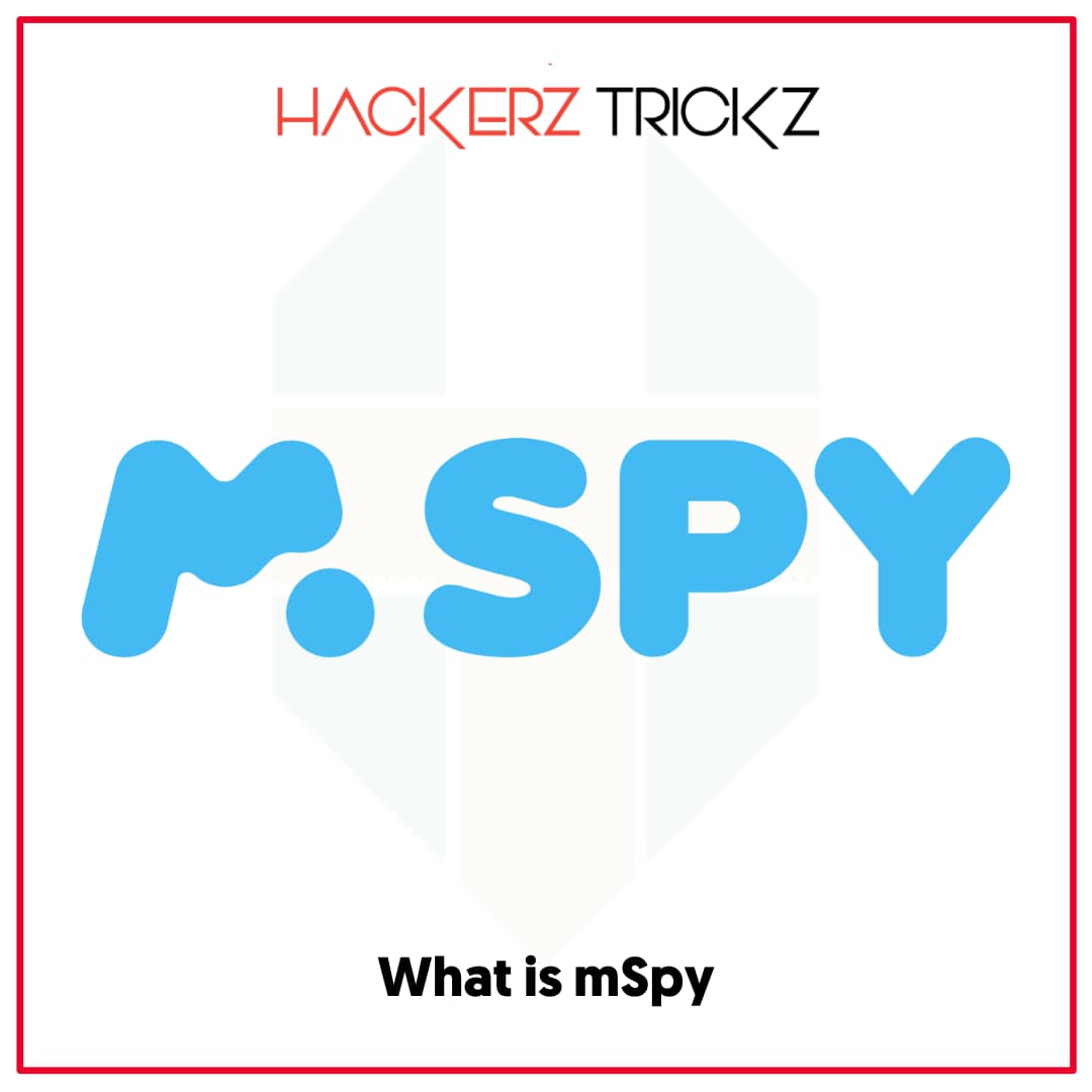 What is mSpy
